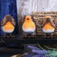 Three Wise Robin Figurines 8cm