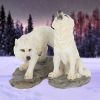 Before the Chase White Wolf Figure Set of 2 9.8cm