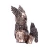 Bronze Odins Messengers Norse God Bust – billede 5