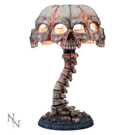 Atrocity Natural Bone Skull and Spine Lamp – billede 2