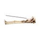 Take It Easy Skeleton Incense Holder 27cm