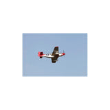 Plane 1400mm P51 Red Tail (V8) PNP kit