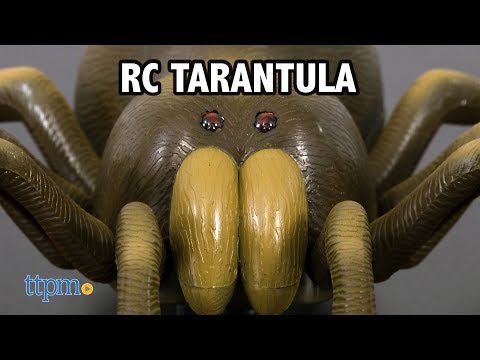 Remote-controlled spider - Tarantula