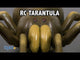 Remote-controlled spider - Tarantula