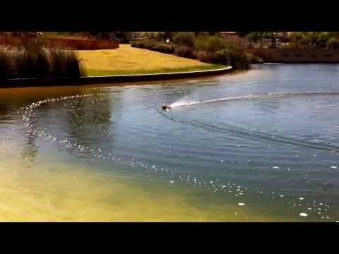 Joysway Warrior V3 - cool remote-controlled boat - Offer