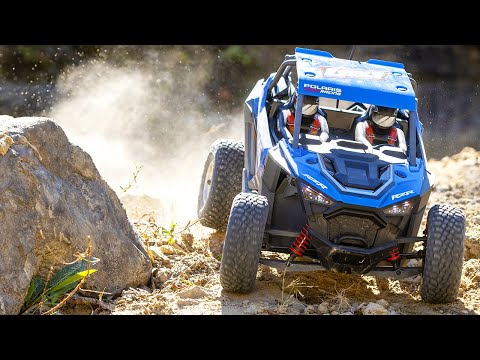 RZR Rey, 1/10 4WD Brushless RTR, FOX