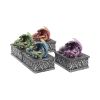 Dragons Safehold Box Set of 4 Trinket Boxes
