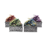 Dragons Safehold Box Set of 4 Trinket Boxes