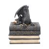 Secrets of the Dragon Box Gothic Skull Books Trinket Box