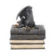 Secrets of the Dragon Box Gothic Skull Books Trinket Box