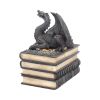 Secrets of the Dragon Box Gothic Skull Books Trinket Box