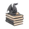 Secrets of the Dragon Box Gothic Skull Books Trinket Box