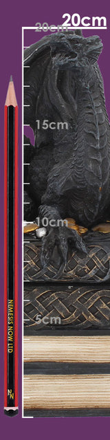 Secrets of the Dragon Box Gothic Skull Books Trinket Box
