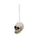 Brush with Death  Skull Toilet Brush Holder 16.4cm