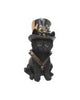 Duo Divination Witches Cat Figurine