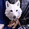 Wild Winter White Wolf Bust 27.5cm – billede 5
