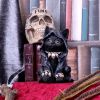 Bewitching Witch Cat Figurine 18.5cm