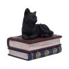 Salems Spells Witches Familiar Black Cat and Spellbook Box