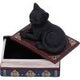Salems Spells Witches Familiar Black Cat and Spellbook Box