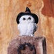 Snowy Spells Owl Figurine 9cm