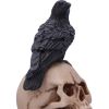 Raven's Spell Figurine 10.3cm