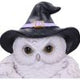 Snowy Owl Magic Door Knocker 21cm