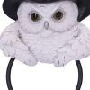 Snowy Owl Magic Door Knocker 21cm