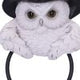 Snowy Owl Magic Door Knocker 21cm