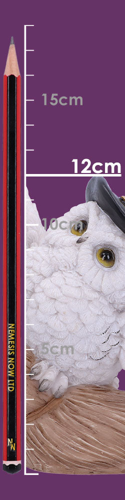 Snowy Flight Owl Figurine 13.5cm