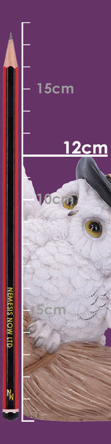 Snowy Flight Owl Figurine 13.5cm