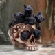 Familiar Trio Cat Tea Light Holder 10cm
