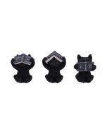 Potion Pair Witches Cat Figurine