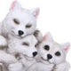 Sleepy Pups Wolf Cubs Figurine 14cm