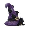 Magical Mischief Witch Hat and Black Cats Figurine 14cm