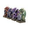 Defend the Hoard Dragon Protector Figurines (Set of 4) 10cm