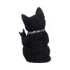 Metallicat Black Cat Throwing Rock Hand Sign