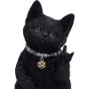 Metallicat Black Cat Throwing Rock Hand Sign
