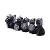 Cat Crusaders (Set of 6) – Fierce Warrior Cat figurines with Unique Poses