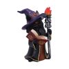 Albus – The Black Wizard Cat Figurine