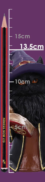 Albus – The Black Wizard Cat Figurine