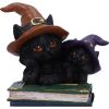 Duo Divination Witches Cat Figurine
