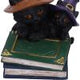 Duo Divination Witches Cat Figurine