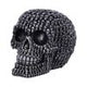 Crania Decorative Resin Skull