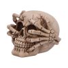 Cracked Decorative Resin Skull