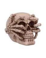 Electro (Small) (Pack of 6 )