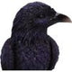 Raven Roost Backflow Incense Burner
