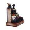 Coven Keepers (Display Stand with 36pcs)
