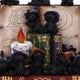 Coven Keepers (Display Stand with 36pcs)