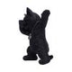 Hex and Flex Humorous Gothic Black Cat Figurine