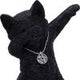 Hex and Flex Humorous Gothic Black Cat Figurine